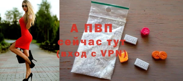 стаф Алексин