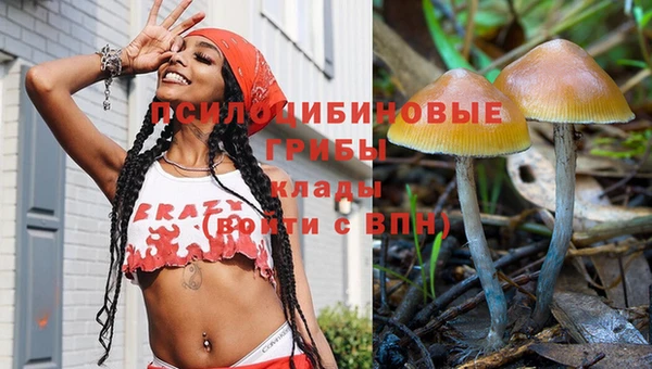 стаф Алексин